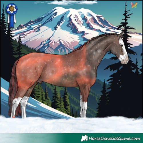 Horse Color:Painted Brown Dun Splash 