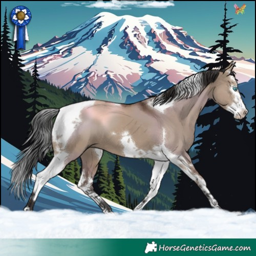 Horse Color:Liver Red Dun Splash Tobiano 