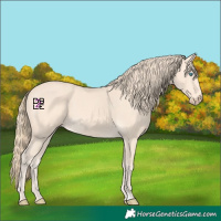 Horse Color:Perlino 