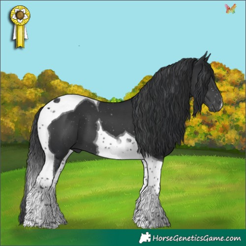 Horse Color:Black Tobiano 