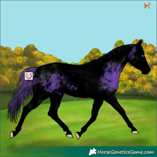 Horse Color:Void Watercolor Liver Chestnut Splash Tobiano 