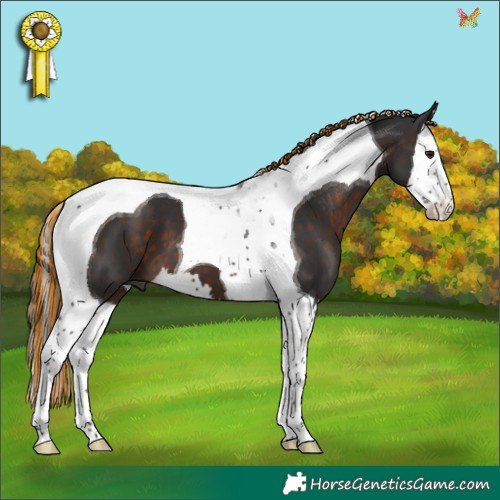 Horse Color:Painted White Spotted Brown Splash Tobiano 