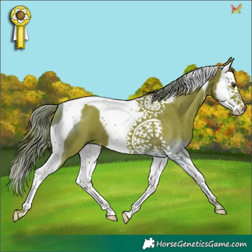Horse Color:Watercolor Liver Chestnut Splash Tobiano 