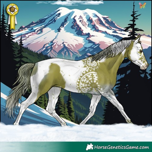 Horse Color:Watercolor Liver Chestnut Splash Tobiano 