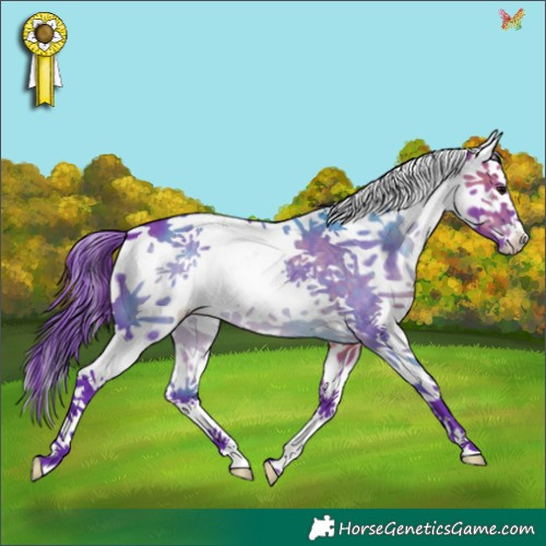 Horse Color:Watercolor Brown Splash Tobiano 