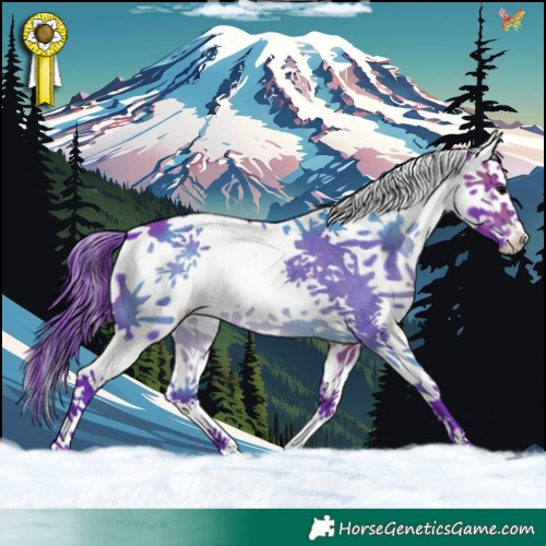 Horse Color:Watercolor Brown Splash Tobiano 