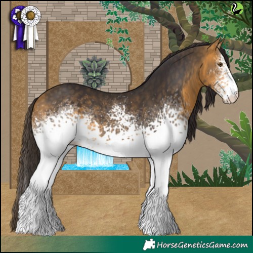 Horse Color:White Spotted Buckskin 