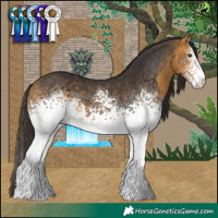 Horse Color:White Spotted Buckskin