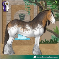 Horse Color:White Spotted Buckskin
