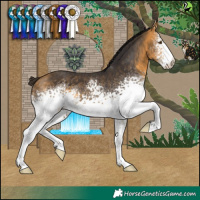 Horse Color:White Spotted Buckskin 