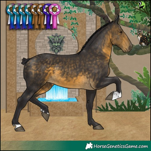 Horse Color:Buckskin 
