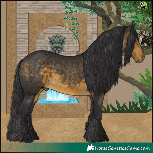 Horse Color:Buckskin 