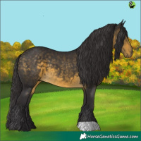 Horse Color:Buckskin