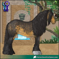 Horse Color:Buckskin 