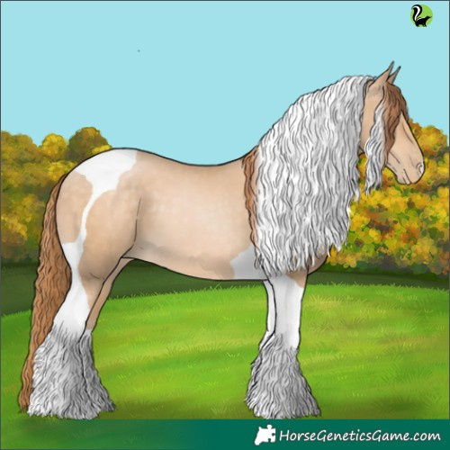 Horse Color:Buckskin Pearl Tobiano 
