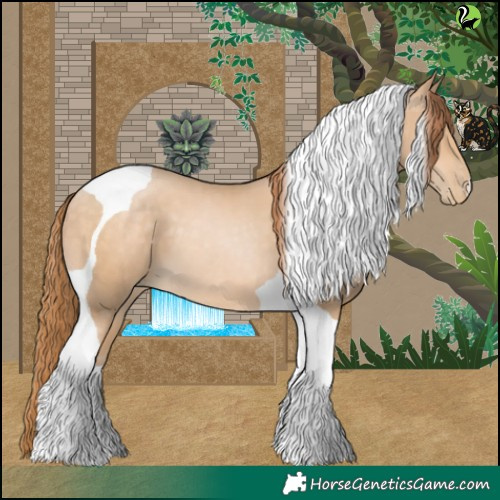 Horse Color:Buckskin Pearl Tobiano 