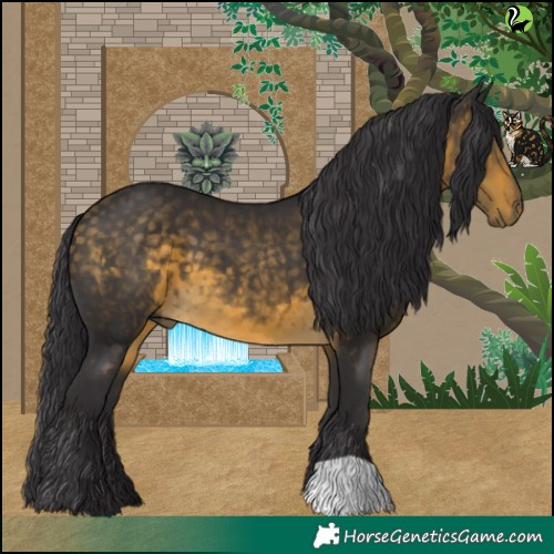 Horse Color:Buckskin 