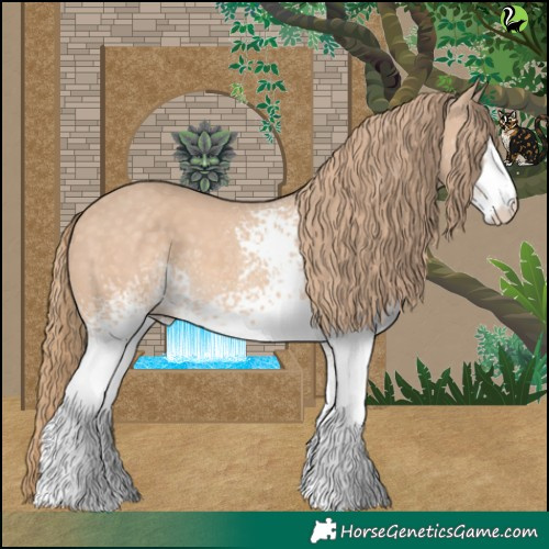 Horse Color:White Spotted Perlino 