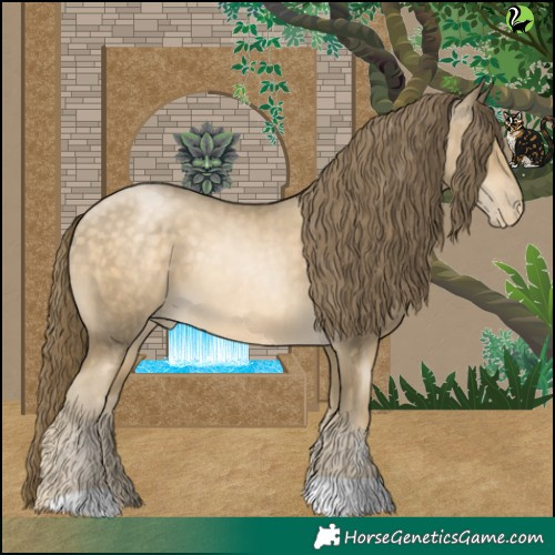 Horse Color:Buckskin Pearl 