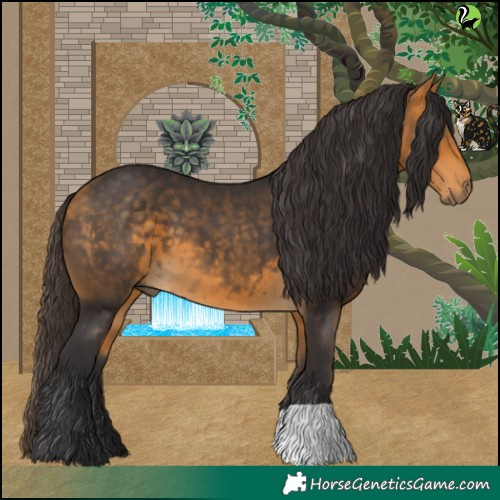 Horse Color:Buckskin 