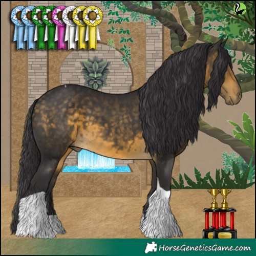 Horse Color:Buckskin Tobiano 