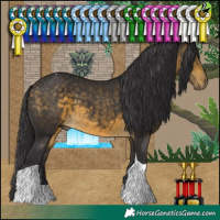 Horse Color:Buckskin Tobiano 