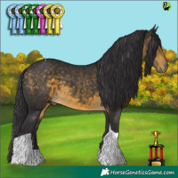 Horse Color:Buckskin Tobiano 