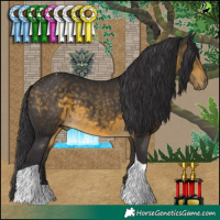 Horse Color:Buckskin Tobiano 