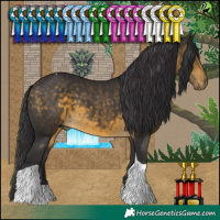 Horse Color:Buckskin Tobiano 