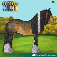 Horse Color:Buckskin Tobiano 