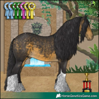 Horse Color:Buckskin Tobiano