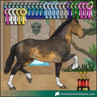 Horse Color:Buckskin Tobiano