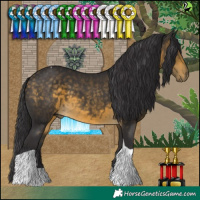 Horse Color:Buckskin Tobiano 