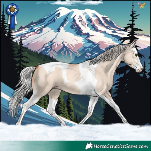 Horse Color:Silver Classic Champagne Dun Sabino Splash Tobiano 