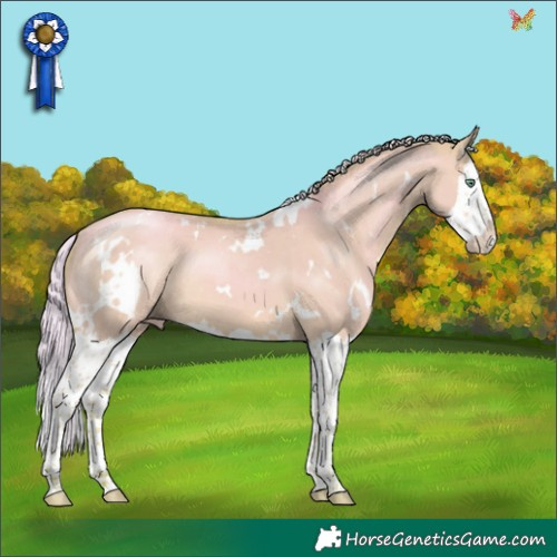 Horse Color:Watercolor White Spotted Silver Sable Champagne Dun Sabino Splash 