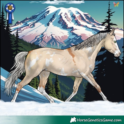 Horse Color:White Spotted Silver Sable Champagne Dun Splash 