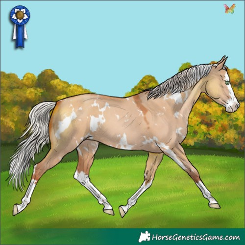 Horse Color:White Spotted Silver Sable Champagne Dun Splash 