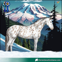 Horse Color:Classic Champagne Dun Sabino Splash Appaloosa