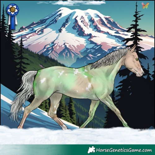 Horse Color:White Spotted Silver Classic Champagne Dun Splash 