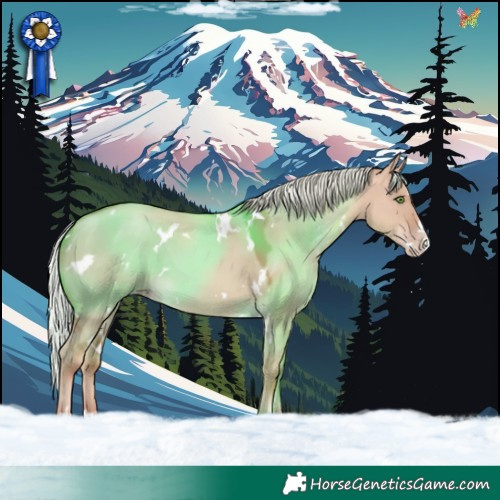 Horse Color:White Spotted Silver Classic Champagne Dun Splash 