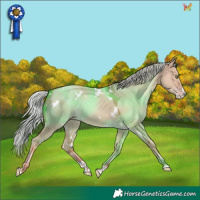Horse Color:White Spotted Silver Classic Champagne Dun Splash
