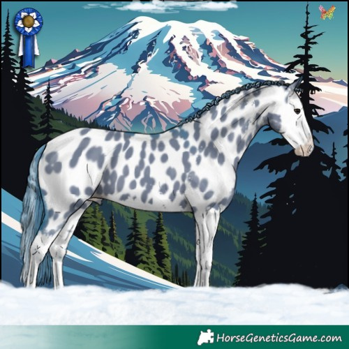 Horse Color:Watercolor Grullo Sabino Splash Near Leopard 