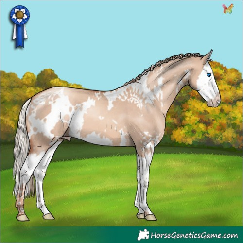Horse Color:White Spotted Gold Champagne Dun Splash 