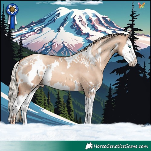 Horse Color:White Spotted Gold Champagne Dun Splash 