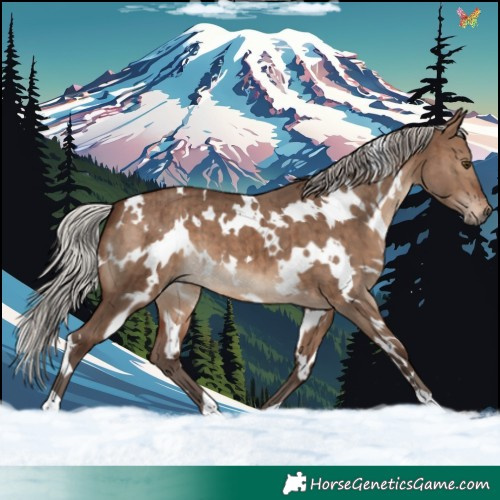 Horse Color:White Spotted Silver Brown Dun Brindle 