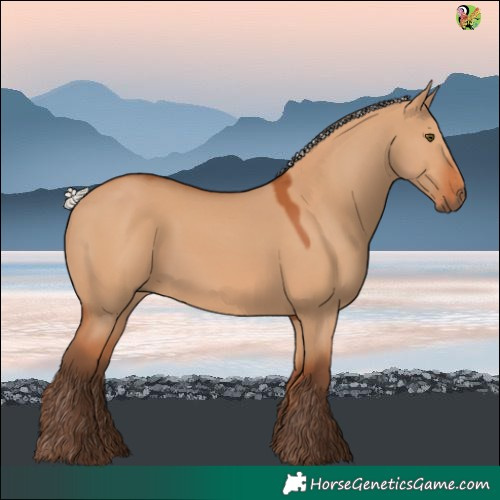 Horse Color:Silver Bay Dun 