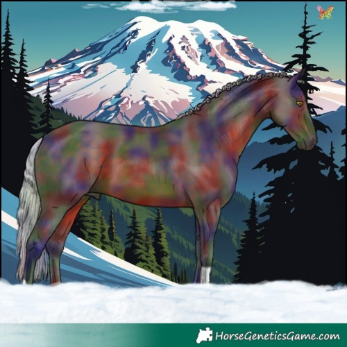 Horse Color:Nacre Silver Brown Tobiano 