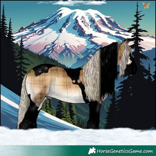 Horse Color:Void Plaid  Chocolate Silver Brown Onyx Splash Tobiano 