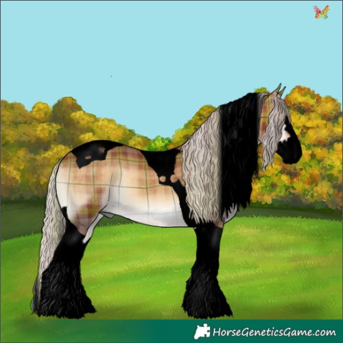Horse Color:Void Plaid  Chocolate Silver Brown Onyx Splash Tobiano 