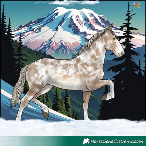 Horse Color:White Spotted Chocolate Palomino Ice Sabino 
